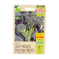 SEMENTE-COUVE-BROCOLI-PIRAC-PRECOCE-0,5G-ISLA-----REF-108